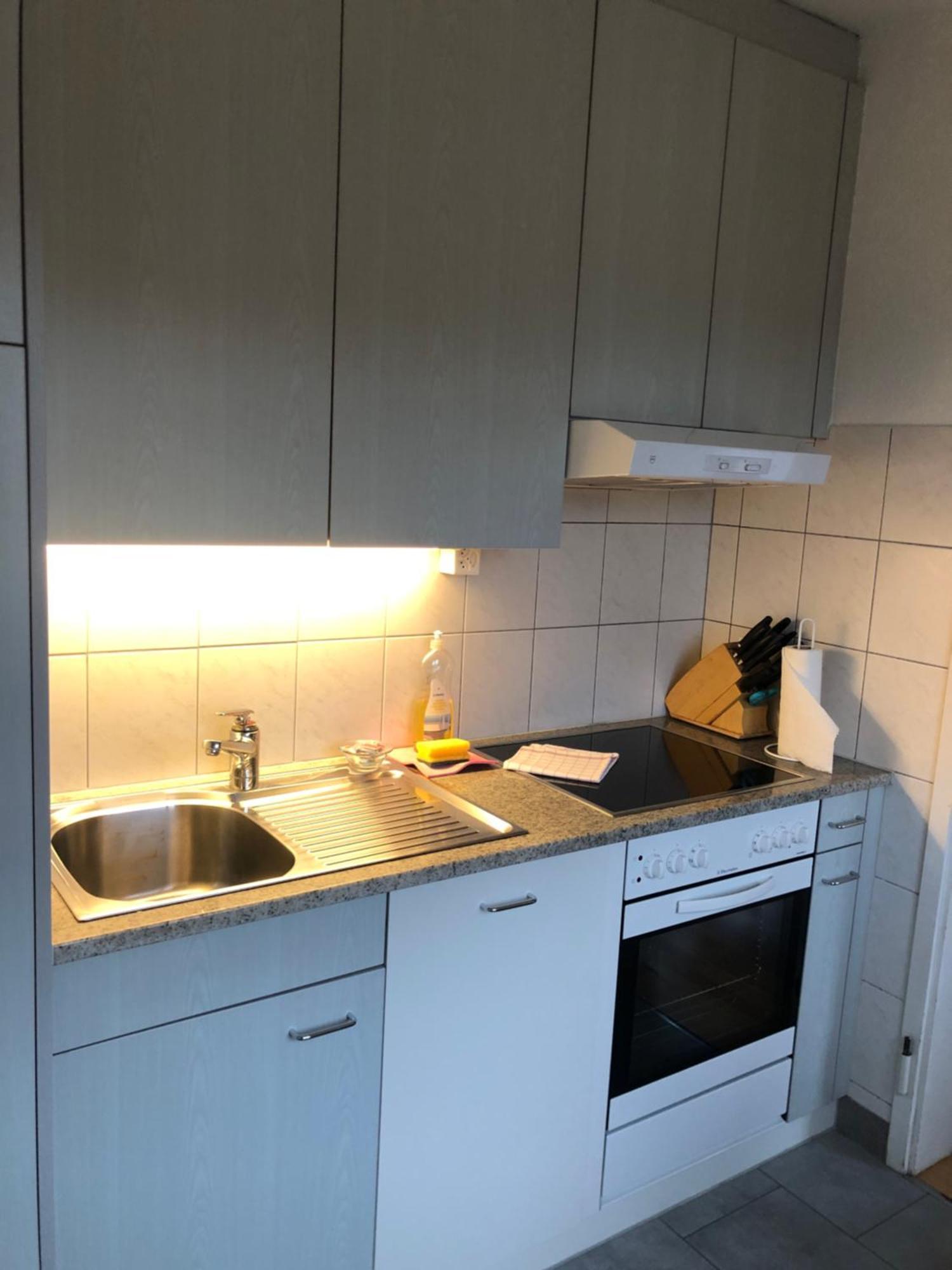 ציריך Cozy, Sunny, City Center 1 Bedroom Flat מראה חיצוני תמונה